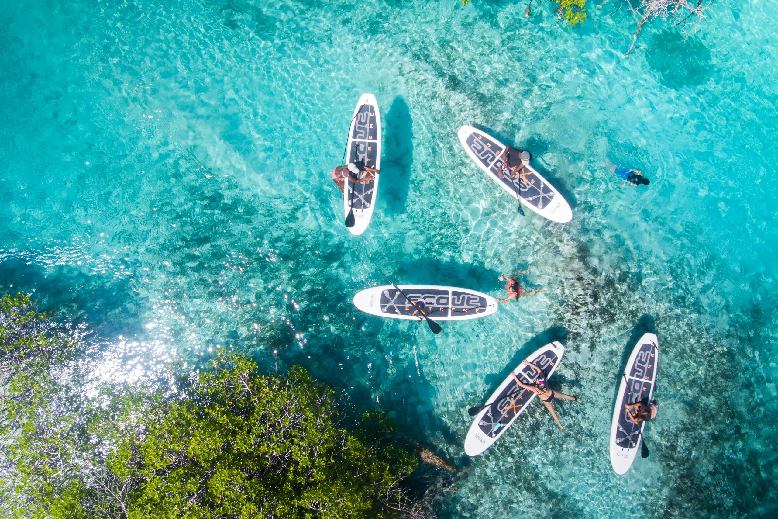 Paddle