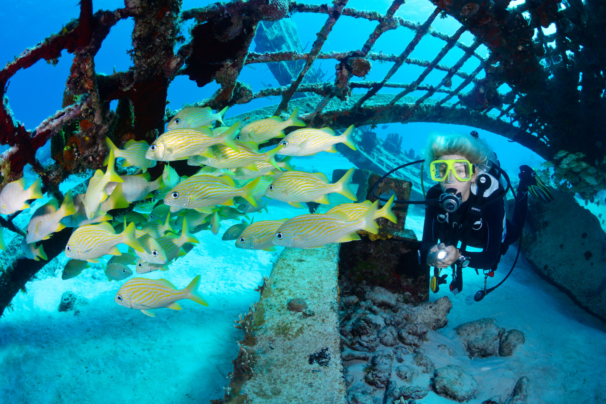 Diving